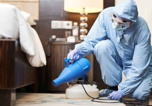 What Type of Equipment Do Carpet Cleaning Companies in San Antonio Texas Use?