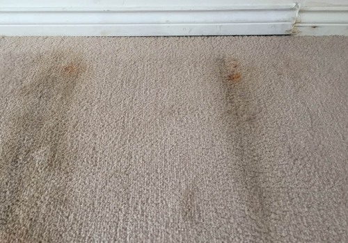 How to Get Rid of Mold and Mildew from Carpets: A Comprehensive Guide
